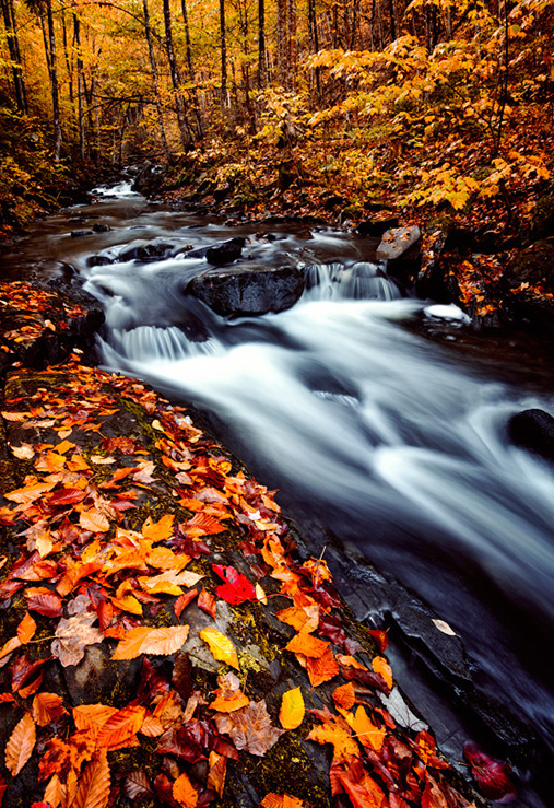 每天告诉自己要努力,即使看不到希望,也依然相