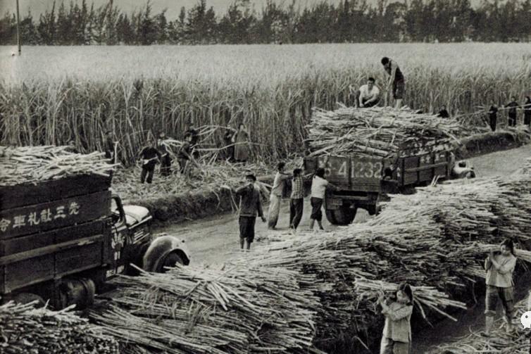 历史回放:60年代下放到湖南衡阳农村的知识青年