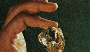 地里捡到珍稀物品, 傻傻的她上交国家换了台拖