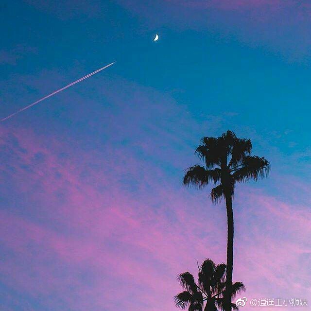 我讨厌热闹也不喜欢孤独, 我总是熬夜,会一个人