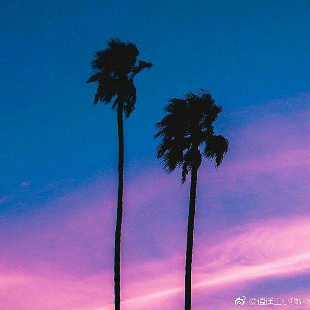 我讨厌热闹也不喜欢孤独, 我总是熬夜,会一个人