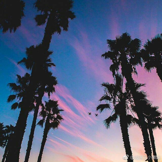 我讨厌热闹也不喜欢孤独, 我总是熬夜,会一个人