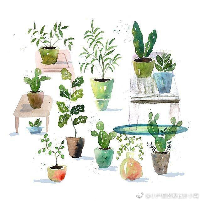 水彩手绘绿植一组(ins:inksnthings|水彩|绿植_新浪新闻