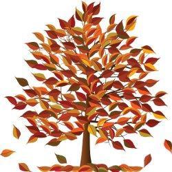 mn和mb在英语单词词尾的发音规则