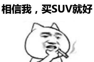 欧美韩被日系完虐! 2017上半年合资小型SUV生存报告