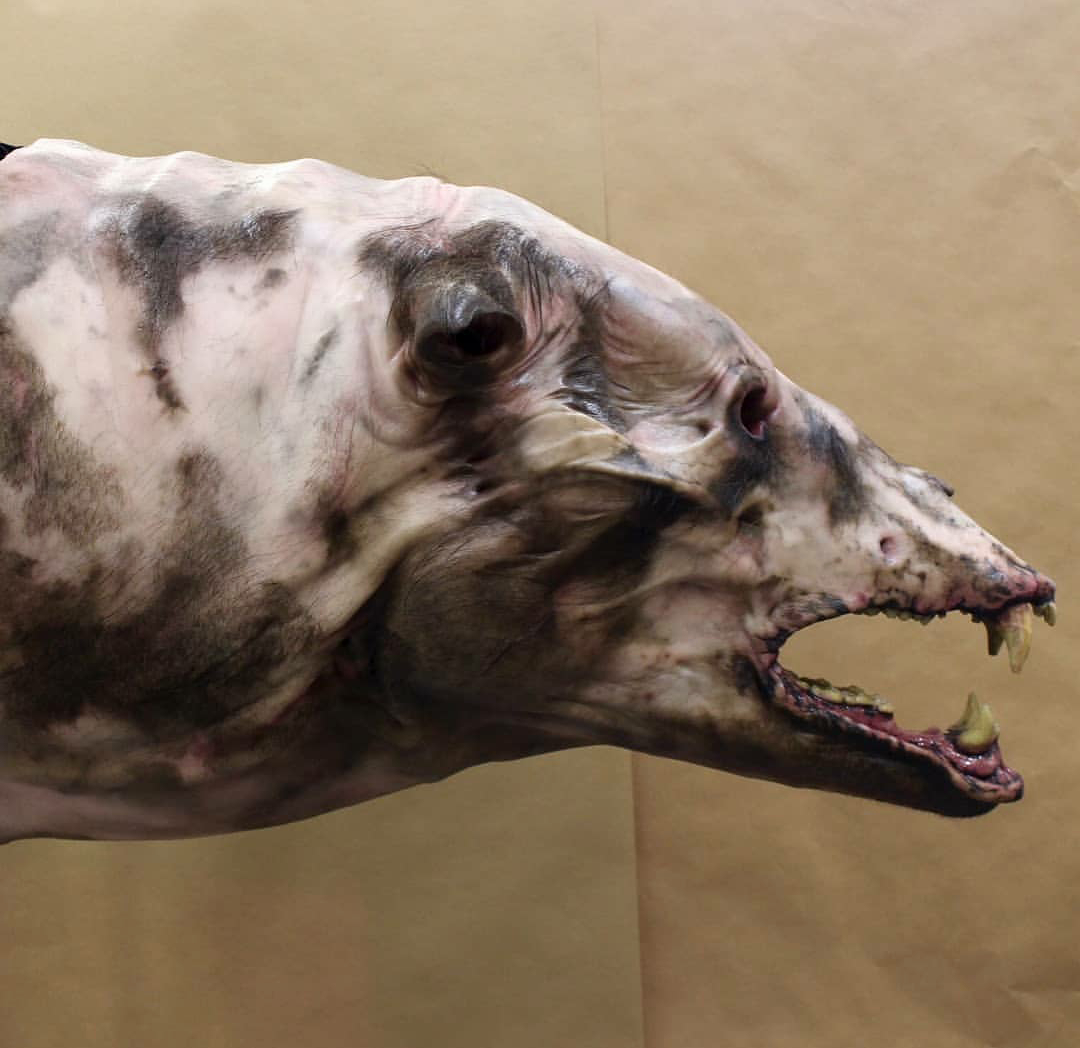 今年科幻电影新概念先驱《湮灭》中的“会说话”的变异灰熊~看清设计