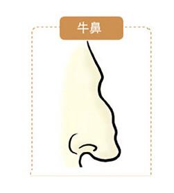 问富在鼻,有这3种鼻子的人,积攒财富,一生特别有福气