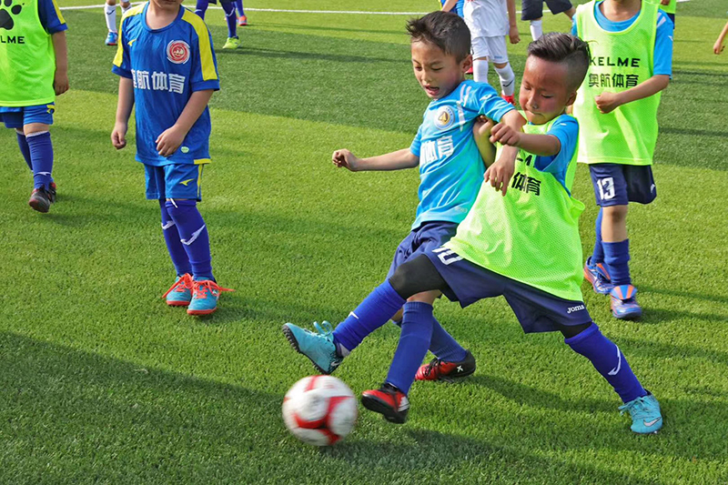 学校球场围栏网生产厂家介绍2025江西省城市足球联赛-赛程/比分/球队阵容全掌握-本地足球热血来袭!