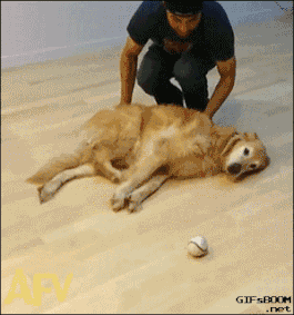 小东西长得还挺别致!