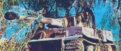 “迈巴赫“最新资讯都在这了，就等你来