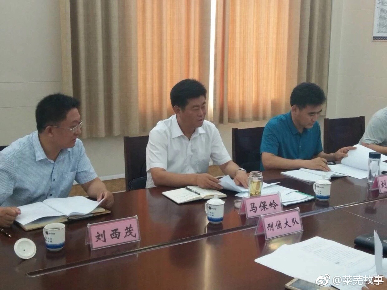 一线调研,支招鼓劲!区委书记马保岭调研扫黑除