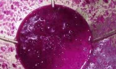 媳妇将火龙果和鸡蛋一起煮, 婆婆说她败家, 几分