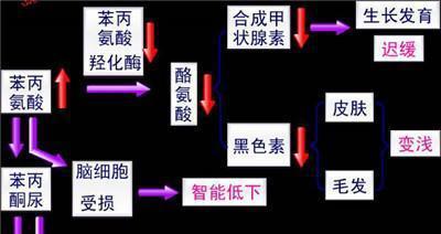 出生仅四个月宝宝怎么有股怪味, 像是老鼠尿一