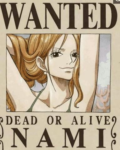 海贼王: 科普向草帽海贼团悬赏金排名, 乌索普排名第三有谁不服