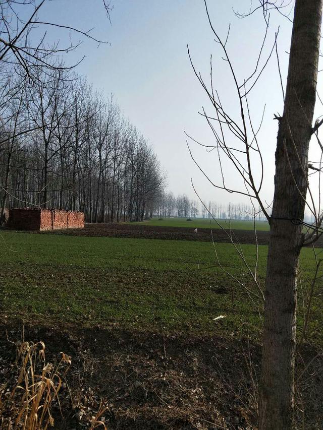 农村发现古董,当专家说出来历时,整个村子沸腾