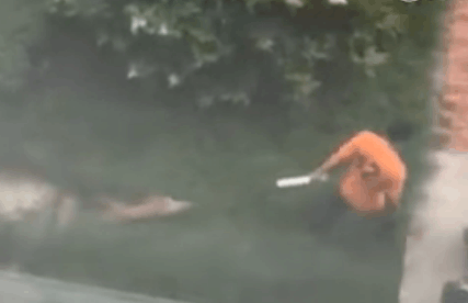 男子追着流浪狗跑, 抓到后用绳子勒死, 一路拖着