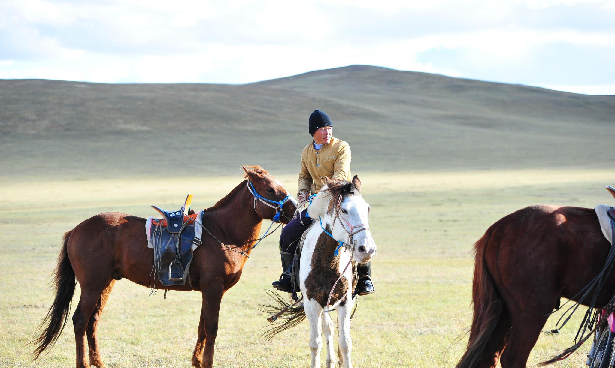 中国面积最大的3个省,加起来 占了半个中国!