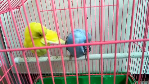 父母以子女为骄傲的真相 子女如何成为父母的骄傲