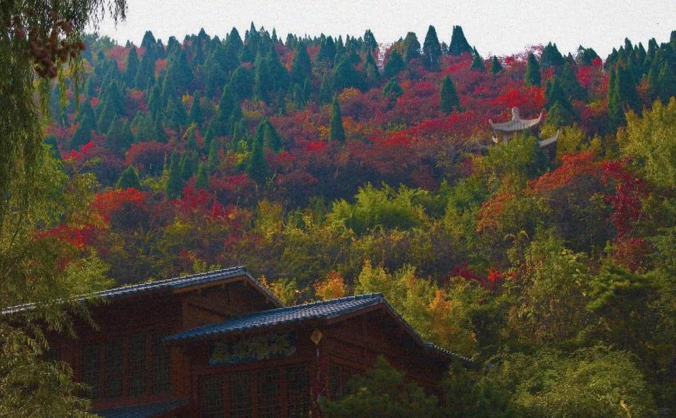 山东济南红叶谷景区，秋天风景特别美丽！这个季节去正合适！