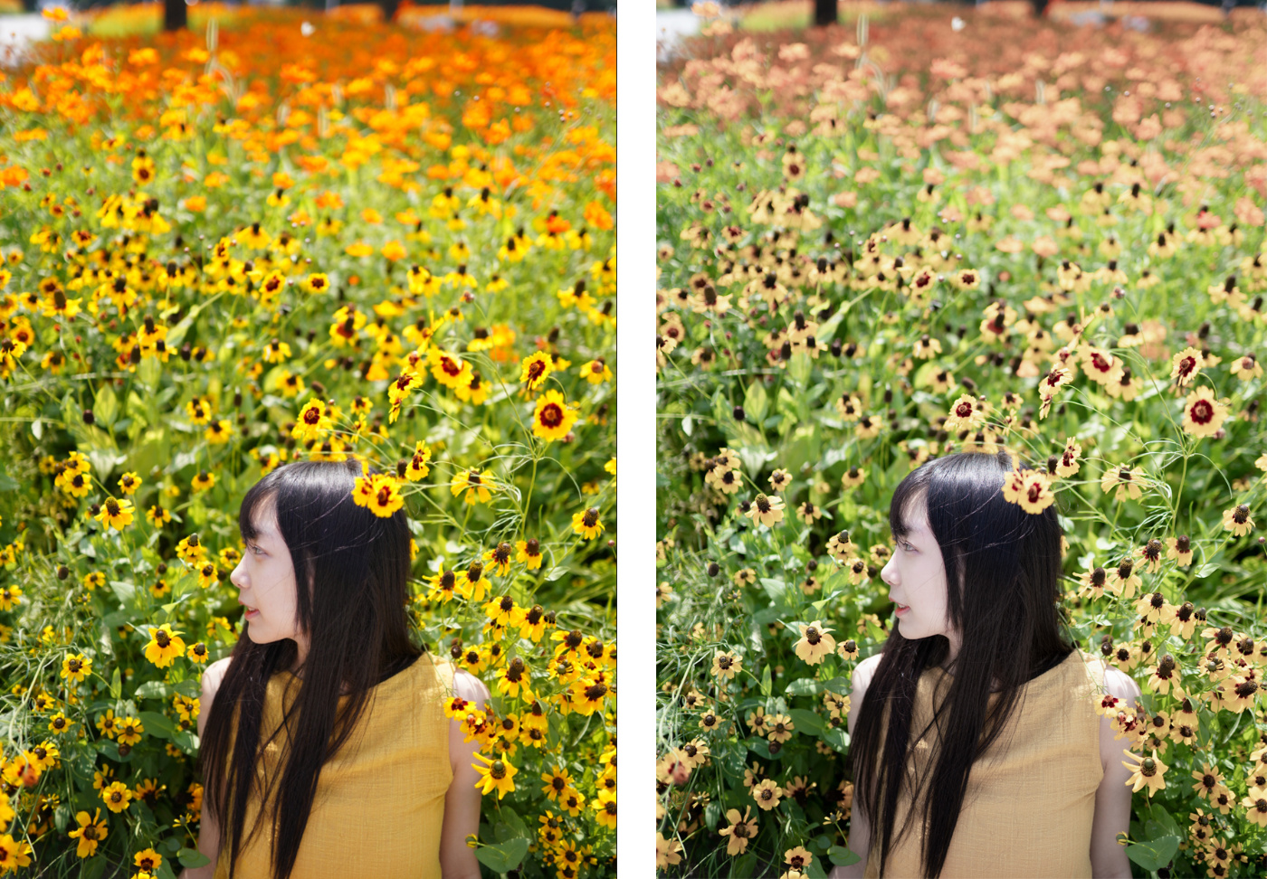 私房利器再升级,原生FE卡口适马35F1.4ART抢