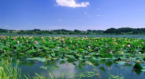 五一小长假准备去哪玩!推荐几个好去处