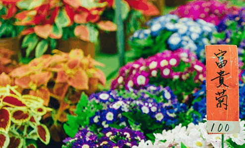 最值得去的台北小众景点