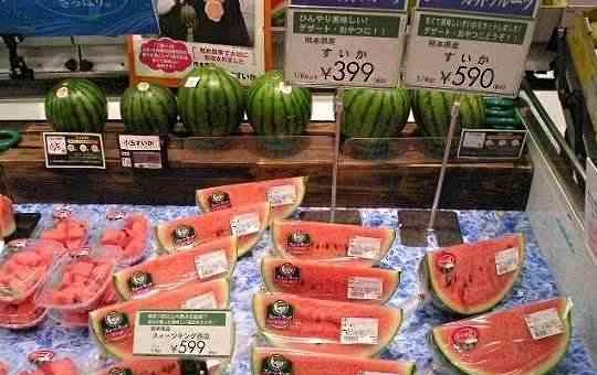 中国游客去日本狂吃自助餐，商家：为什么不吃贵的只吃便宜的？