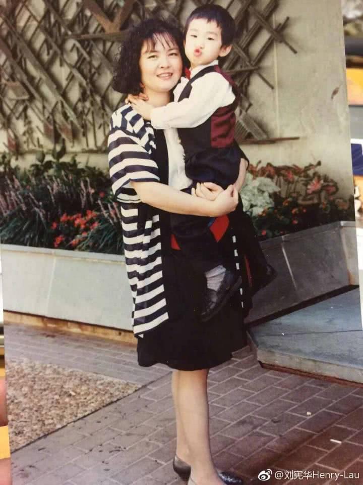 为何韩综里刘宪华小提琴厨艺样样精通,《向往