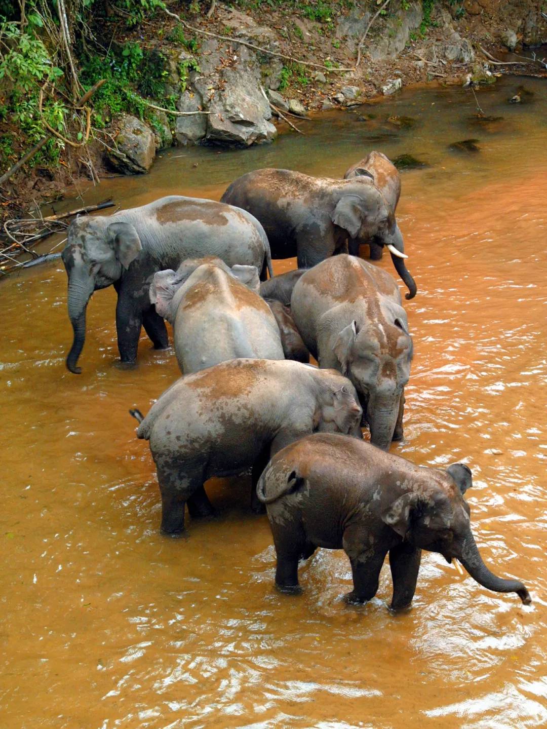 抖音打卡云南网红地!除了昆明!还有这三个新鲜