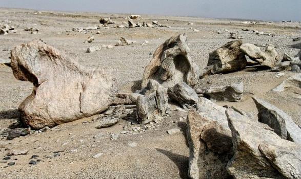 这些
处所已没有人去
游览了, 由于曾
产生这些过
可怕的故事!