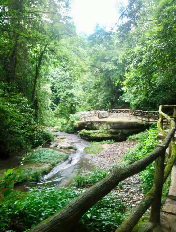 去成都周边游山玩水逛古镇