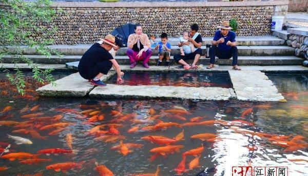 天台后岸村:从“卖石头”到“卖风景”