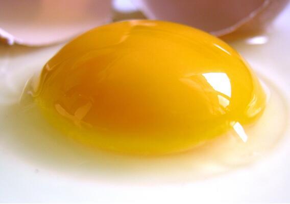 日本网民讨论:日本人常吃的生鸡蛋拌饭被中国