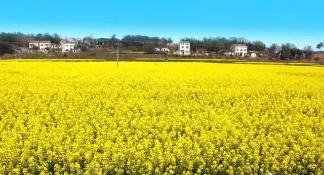 最新攻略!2018随州城区及乡镇21个春游好去处