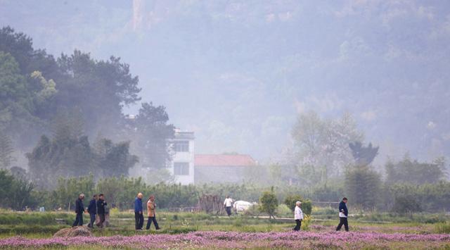 他们不愿意回农村, 不适应农村生活了, 习惯城市