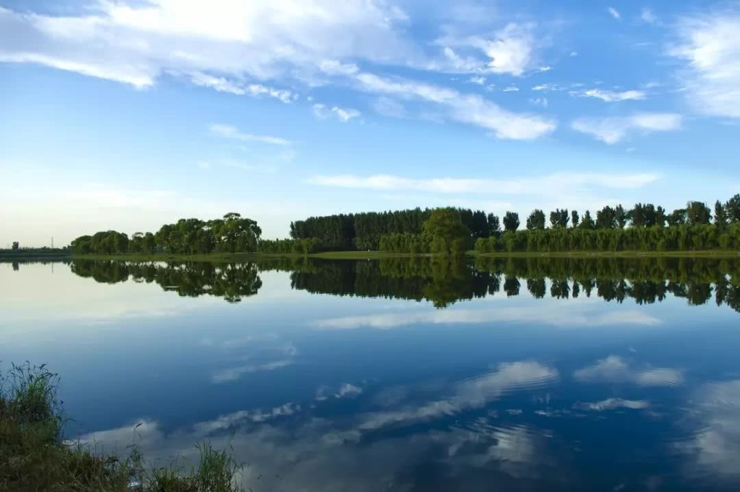 管油胜一路领先2018北京半马夺冠!北大女神夺