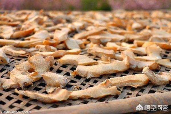 在村里可开啥小型加工厂?藏在农村的小生意,专