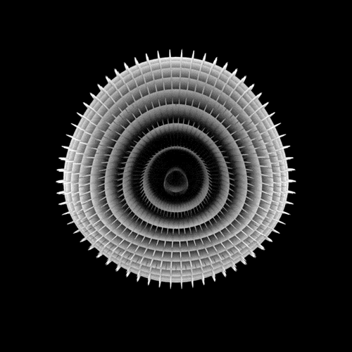 设计 矢量 矢量图 素材 500_500 gif 动态图 动图