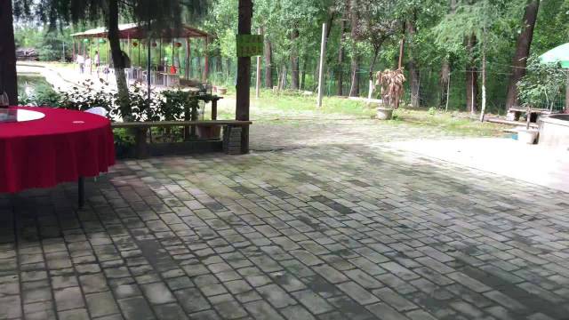 「Try Me, See If I Care」 ……新豪华都会SUV凯迪...