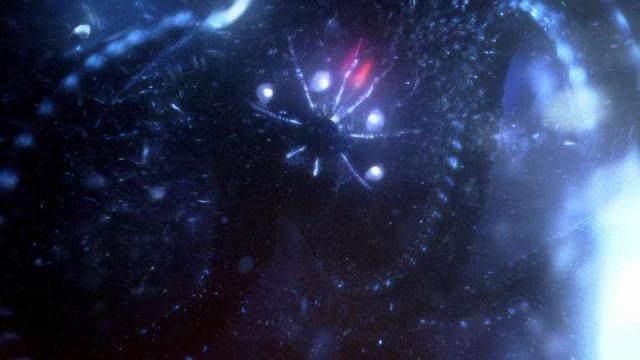 上帝之手, 宇宙中可能存在的至高法则