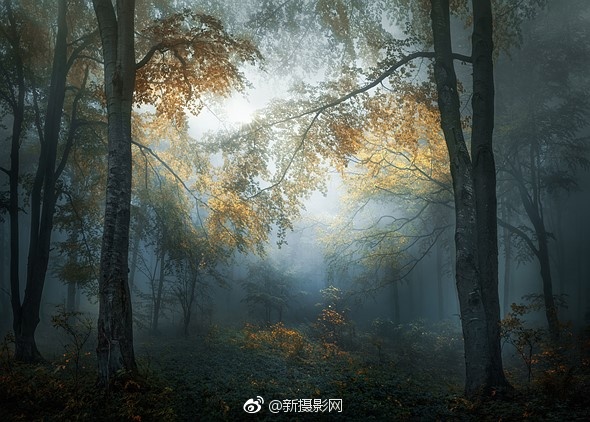 2018索尼世界摄影大赛公开组获奖作品欣赏