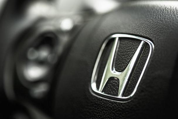 速递!新鲜的“铃木“资讯全在这，看我就够了