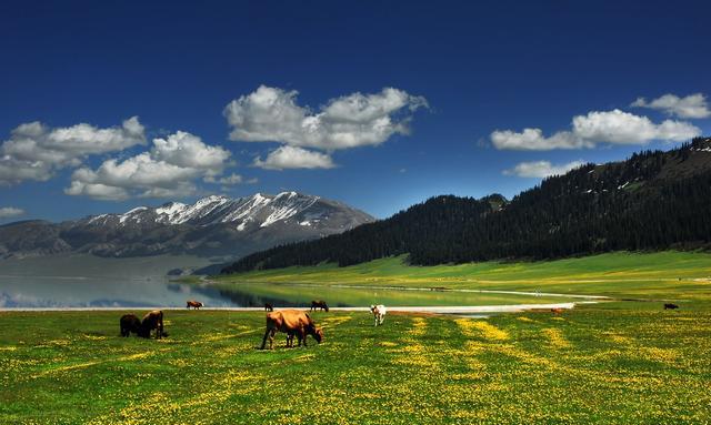 我送你，大西洋最后一颗眼泪