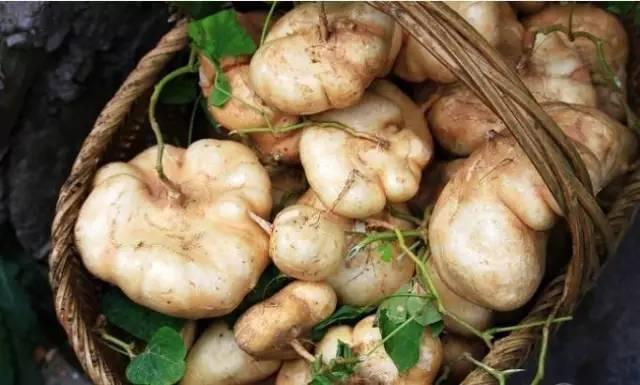 这菜清热去火,感冒的人最适合吃,你见过吗?