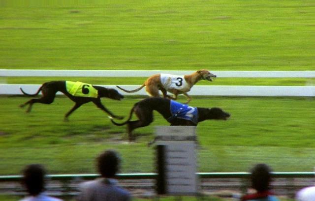 600元三小时不限次服务详解：新手必备全攻略