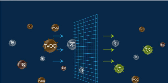 为什么4S店里新车没有味儿? 店员说漏嘴, 汽车