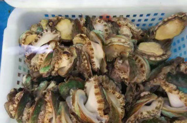 海汇聚的故事,美食大口吃美食城铁力百泰图片