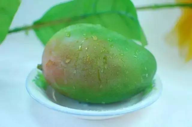 攀枝花芒果网:攀枝花芒果和香蕉放一起竟然会