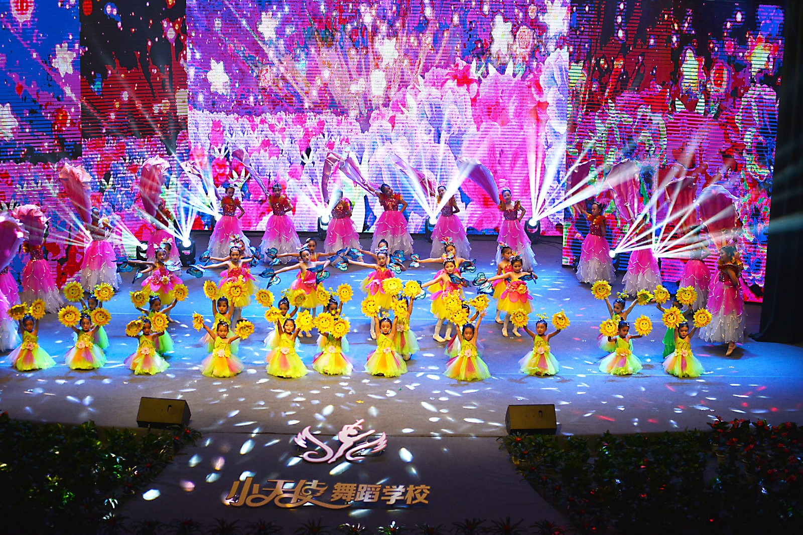 2018驻马店小天使舞蹈学校大型舞蹈展演活动举行