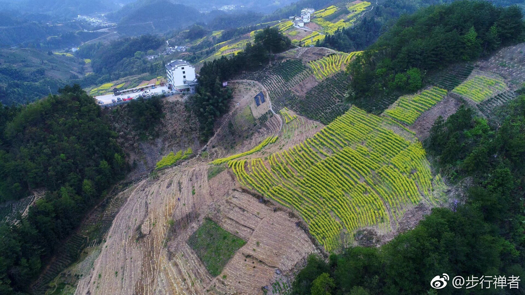 歙县坡山,总有一种风景,温暖你的心._新浪看点